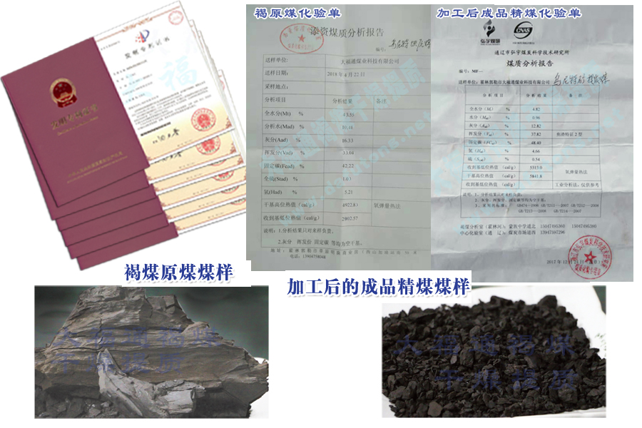 大福通煤業(yè)科技有限公司 褐煤高溫?zé)o氧脫灰、脫水、脫硫提質(zhì)